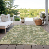 addison chantille acn1150 aloe rug