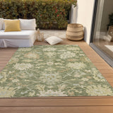 addison chantille acn1150 aloe rug