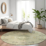 addison chantille acn1156 aloe rug