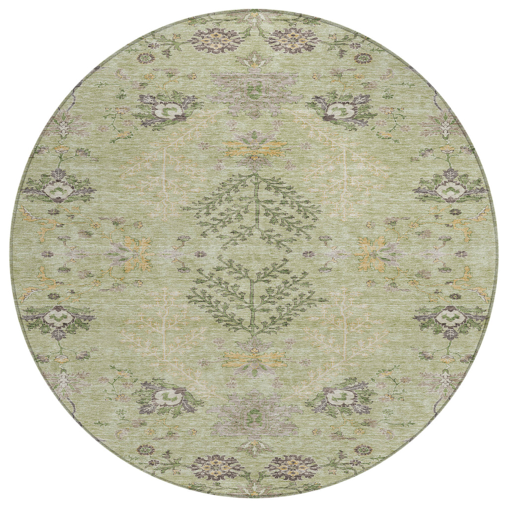 addison chantille acn1156 aloe rug