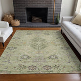 addison chantille acn1156 aloe rug