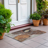 addison chantille acn1177 coffee rug