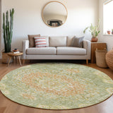 addison chantille acn1236 aloe rug