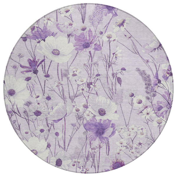 addison chantille acn1501 lavender rug