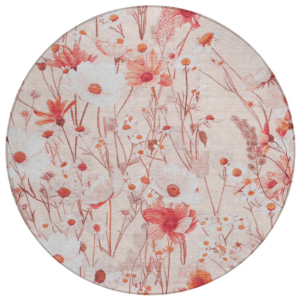 addison chantille acn1504 salmon rug