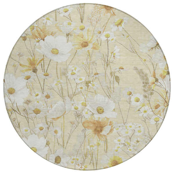 addison chantille acn1505 wheat rug
