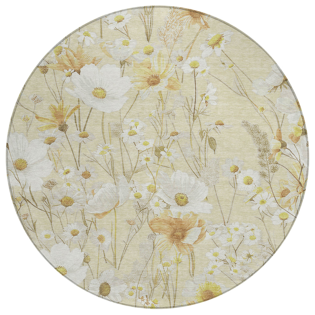 addison chantille acn1505 wheat rug