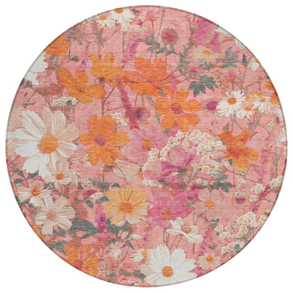 addison chantille acn1507 blush rug