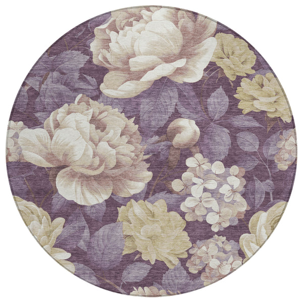 addison chantille acn1561 beige rug