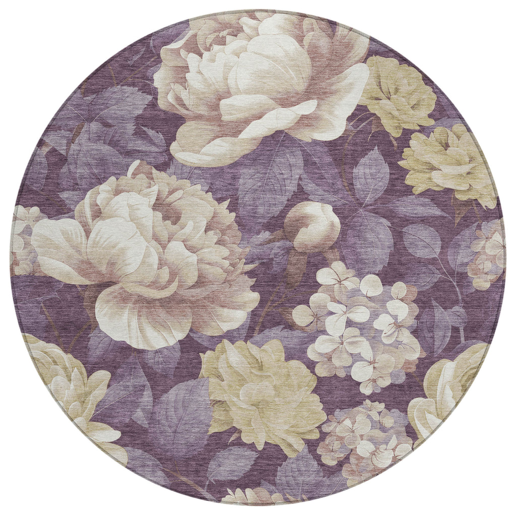 addison chantille acn1561 beige rug