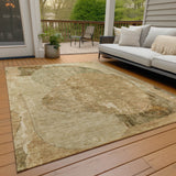 addison chantille acn1635 brown rug