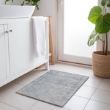 addison chantille acn1645 silver rug