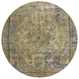 addison chantille acn1646 aloe rug