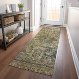 addison chantille acn1646 aloe rug