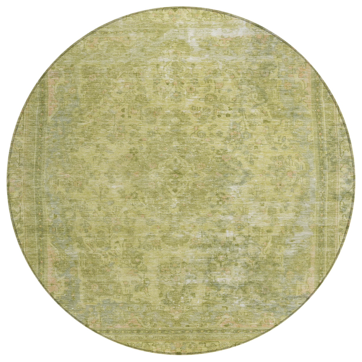 addison chantille acn1646 cactus rug