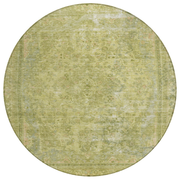addison chantille acn1646 cactus rug