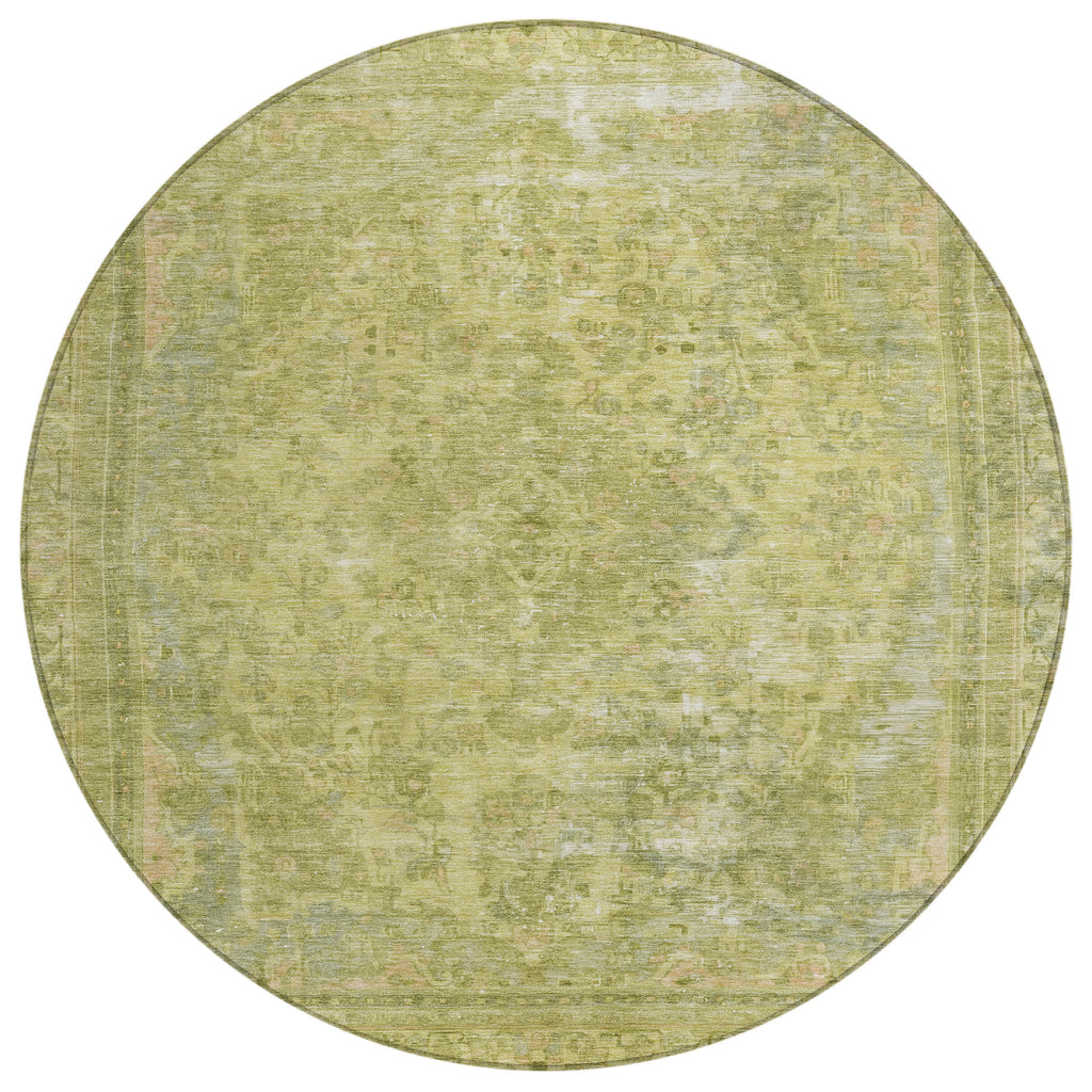 addison chantille acn1646 cactus rug