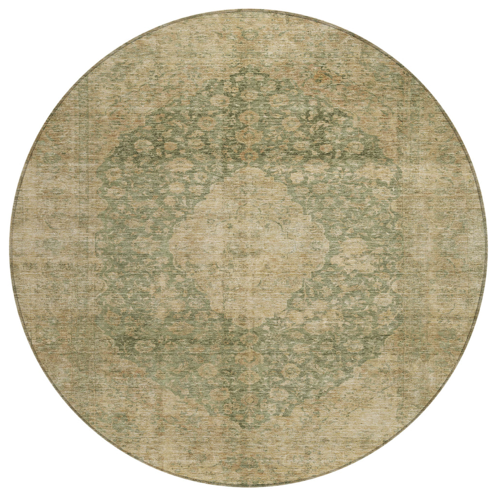 addison chantille acn1657 aloe rug