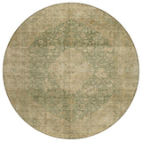 addison chantille acn1657 aloe rug