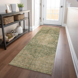 addison chantille acn1657 aloe rug