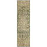 addison chantille acn1657 aloe rug