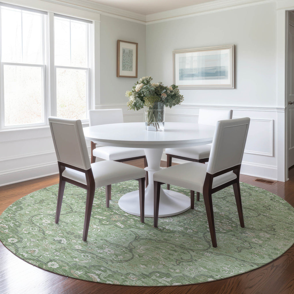 addison chantille acn1677 aloe rug