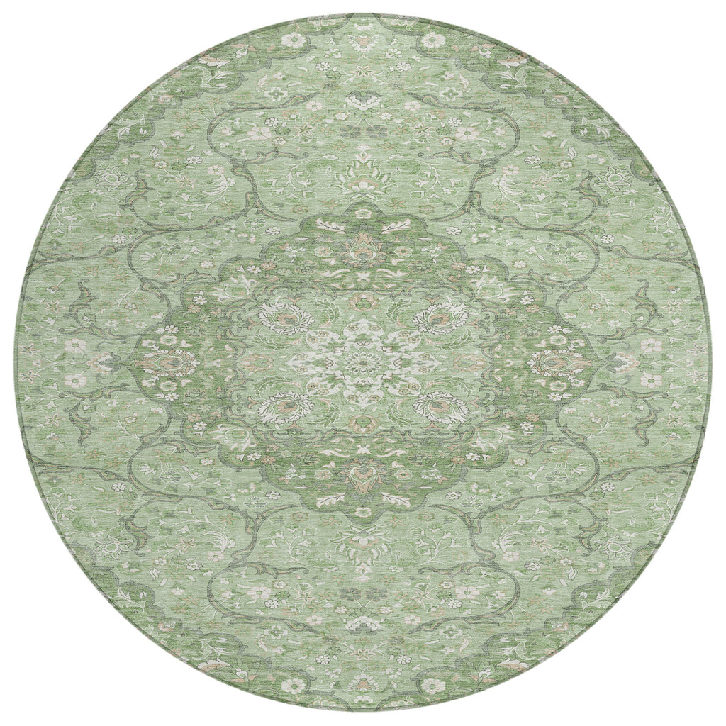 addison chantille acn1677 aloe rug
