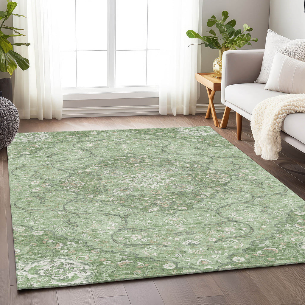addison chantille acn1677 aloe rug
