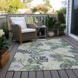 addison chantille acn1708 aloe rug