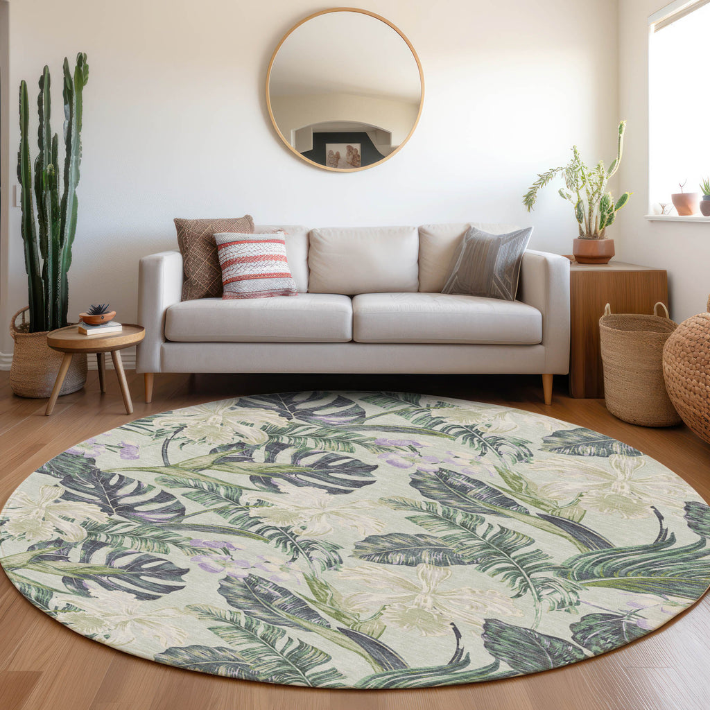 addison chantille acn1708 aloe rug
