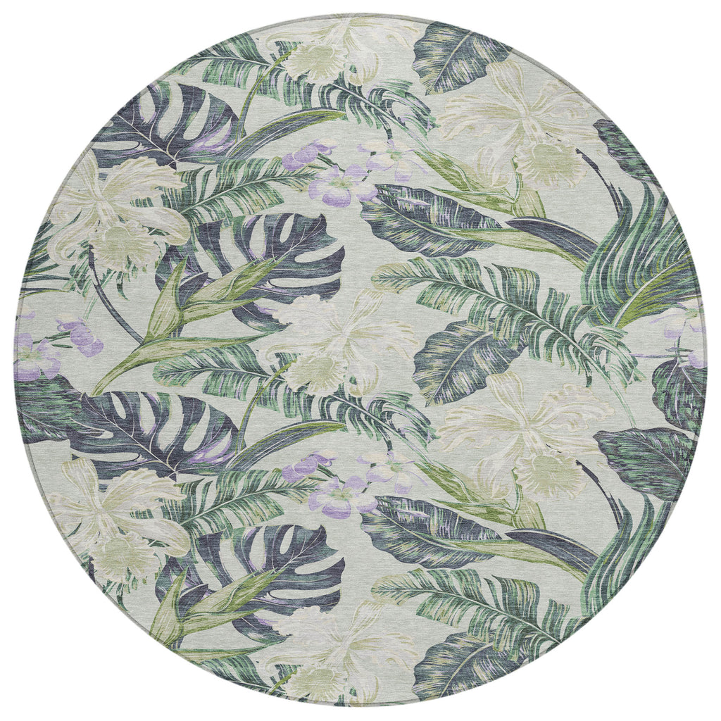 addison chantille acn1708 aloe rug