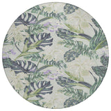 addison chantille acn1708 aloe rug