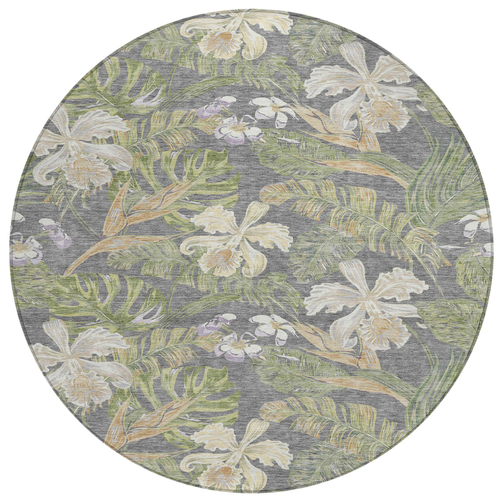 addison chantille acn1708 gray rug