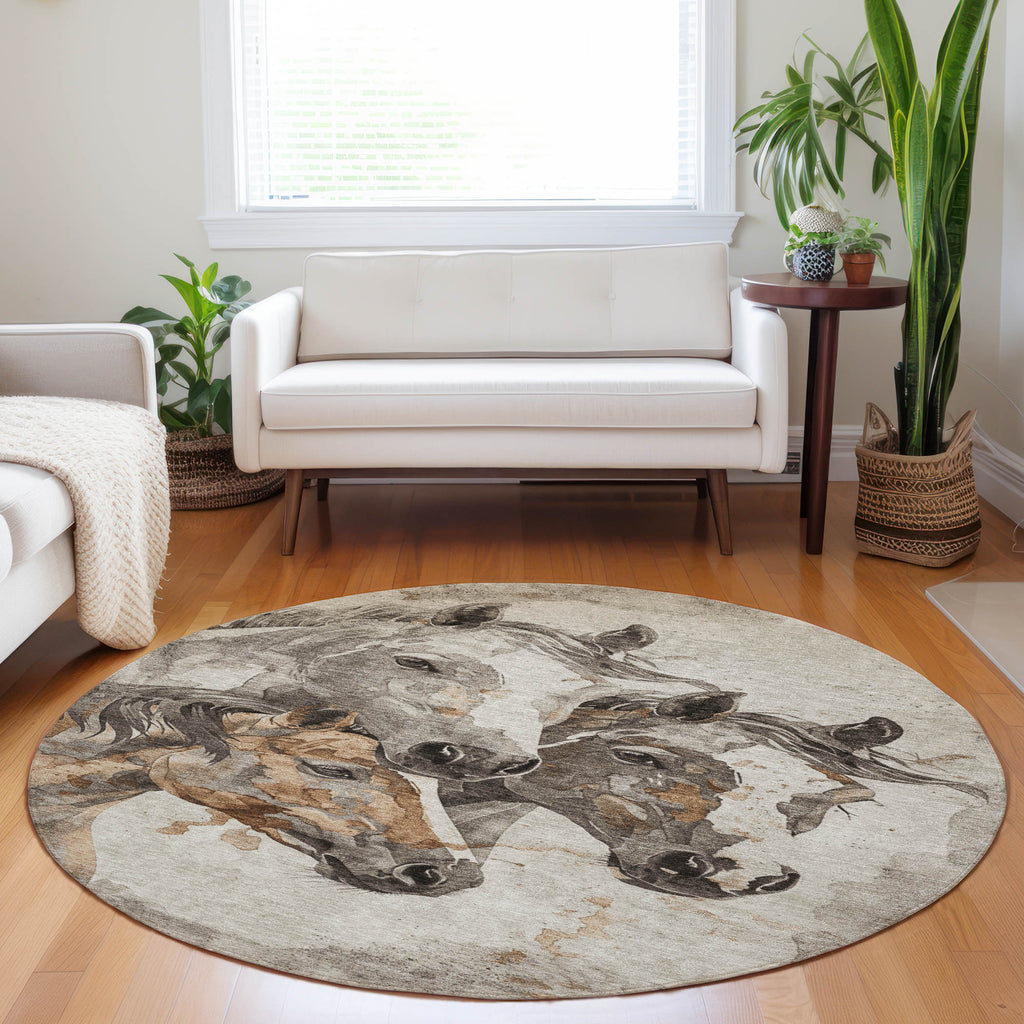 addison chantille acn1718 beige rug
