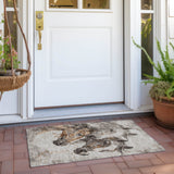 addison chantille acn1718 beige rug