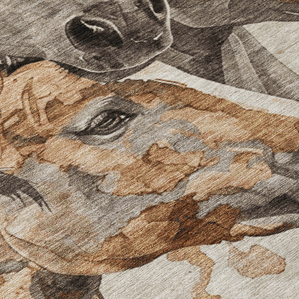 addison chantille acn1718 beige rug