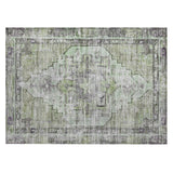 addison chantille acn1729 aloe rug