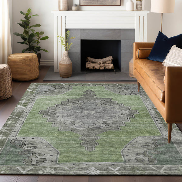 addison chantille acn1731 aloe rug