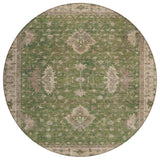 addison chantille acn1739 aloe rug