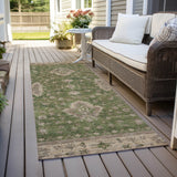 addison chantille acn1739 aloe rug