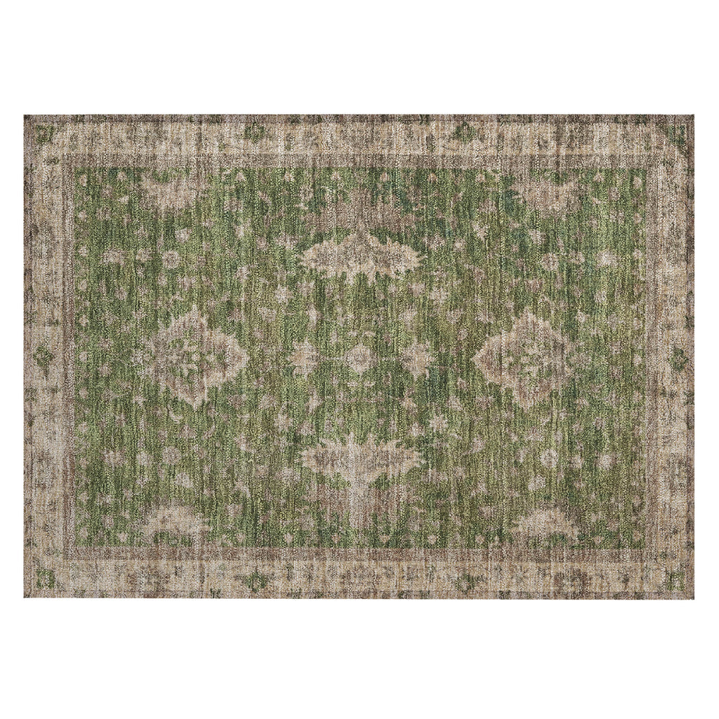 addison chantille acn1739 aloe rug
