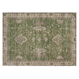 addison chantille acn1739 aloe rug
