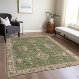 addison chantille acn1739 aloe rug