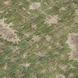 addison chantille acn1739 aloe rug