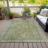 addison chantille acn1740 sage rug