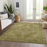 addison chantille acn1761 aloe rug