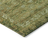 addison chantille acn1762 aloe rug