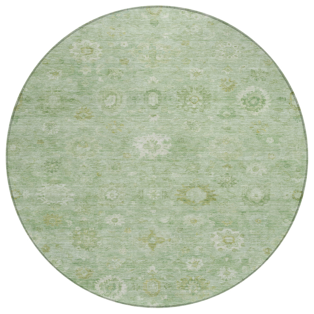 addison chantille acn1770 aloe rug