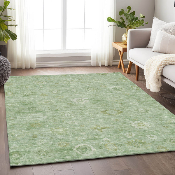 addison chantille acn1770 aloe rug