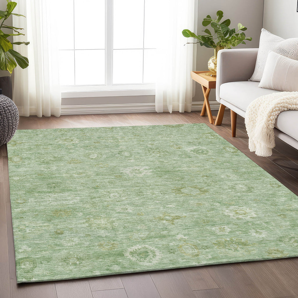 addison chantille acn1770 aloe rug